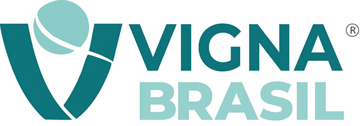 Logo Grupo Vigna Brasil
